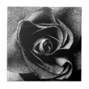 Suche nach schwarze rose fliesen Pflanze