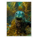 Suche nach kelp postkarten Kalifornien