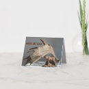 Suche nach moose karten Elch