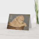Suche nach verspätet karten Goldene retriever