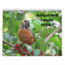 Suche nach kardinäle kalender Foto