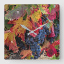 Suche nach grape poster Wine grapes
