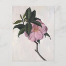 Suche nach kamelien poster Blätter