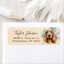 Suche nach cocker spaniel Tierliebhaber