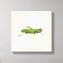 Suche nach hintergrund leinwandbilder Grün