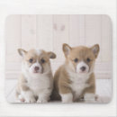 Suche nach sitzen mousepads Tiere