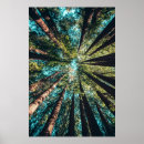 Suche nach landschaftliche natur poster Wildnis