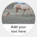 Suche nach ponys aufkleber Fohlen
