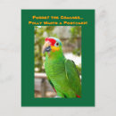Suche nach polly Vögel