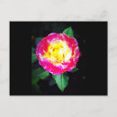 Suche nach rosengarten postkarten Blume