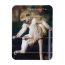 Suche nach slogan magnete Lustig