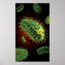 Suche nach protein poster Wissenschaft