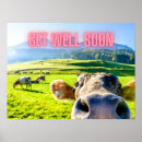 Suche nach lustiges kuh poster Witzig