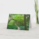 Suche nach olympisch karten Olympischer nationalpark