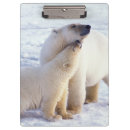 Suche nach eisbären klemmbrett Alaska