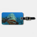 Suche nach kuba gepäckanhänger Ozean