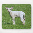 Suche nach lamm mousepads Bauernhof