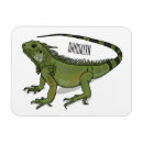 Suche nach iguana magnete Reptil