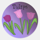Suche nach lila tulpen aufkleber Natur