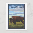 Suche nach bison postkarten Gelbstein
