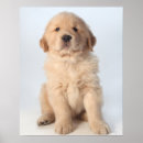 Suche nach portrait poster Vertikal