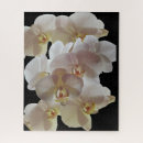 Suche nach orchideen puzzle Pflanze