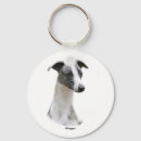 Suche nach purebreed Hunde