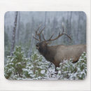 Suche nach geweih mousepads Usa