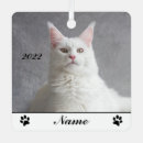 Suche nach kitschig ornamente Katzenliebhaber