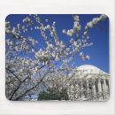 Suche nach kirschblüten mousepads Baum