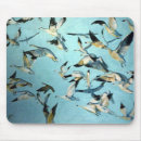 Suche nach menge mousepads Vögel