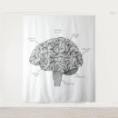 Suche nach korrekt poster Anatomie