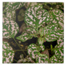 Suche nach gehweg fliesen Blumen