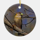 Suche nach goldschmiede ornamente Vögel