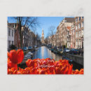 Suche nach amsterdam tulpen postkarten Europa