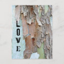 Suche nach baumrinde postkarten Rustikal