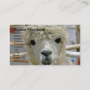 Suche nach alpaca visitenkarten Niedlich