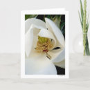 Suche nach magnolie karten Fotografie