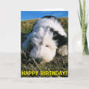 Suche nach altes englisch karten Alter englischer schäferhund