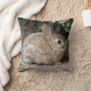 Suche nach nagetiere kissen Kaninchen