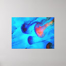 Suche nach rosa quallen poster Marine