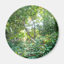 Suche nach spinne magnete Netz