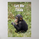 Suche nach chimpanzee poster Affe