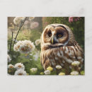 Suche nach ochse postkarten Vogelvogel