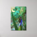 Suche nach frog leinwandbilder Tier