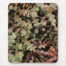 Suche nach pagode mousepads Natur