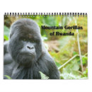 Suche nach gorilla kalender Afrika