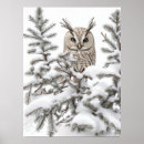 Suche nach schnee eule poster Vogelvogel
