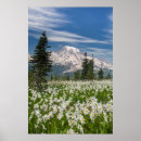 Suche nach acer poster Superstock