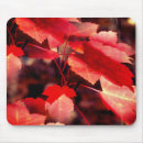 Suche nach herbst mousepads Baum